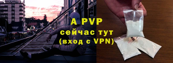 гашик Няндома