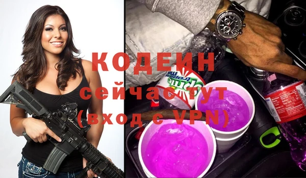 гашик Няндома
