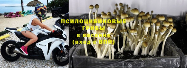 гашик Няндома