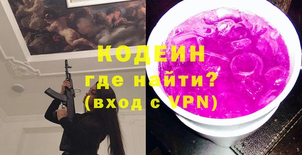 гашик Няндома