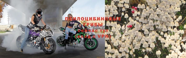 2c-b Осинники