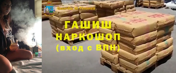 гашик Няндома