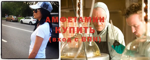 гашик Няндома
