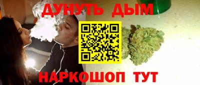 шишки Камышлов