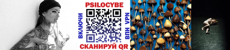Галлюциногенные грибы прущие грибы  продажа наркотиков  Знаменск 