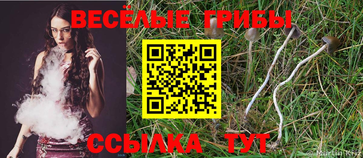 Галлюциногенные грибы мухоморы  цены   Знаменск  Вход с VPN 