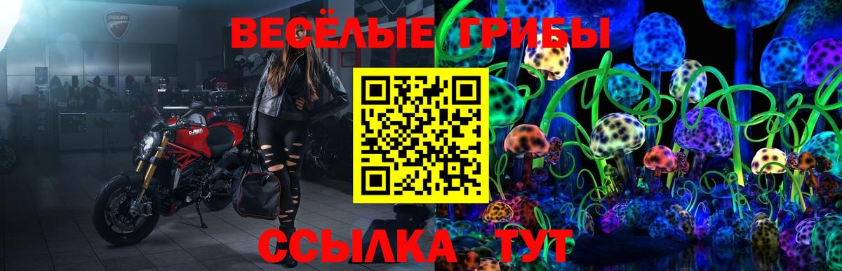 Псилоцибиновые грибы Psilocybine cubensis Знаменск