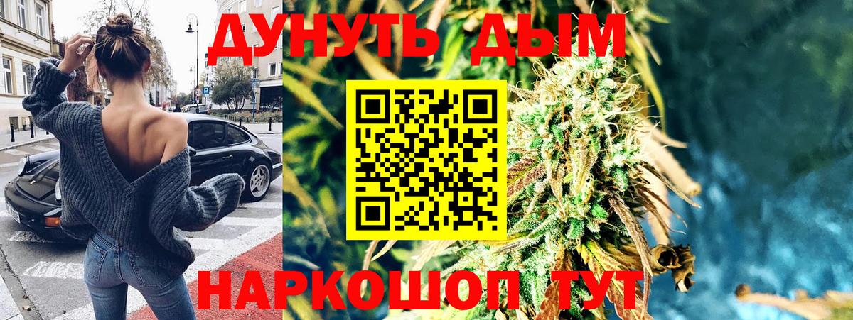 Бошки Шишки MAZAR  Шишки марихуана план  Знаменск  Каннабис сатива  Бошки марихуана AK-47 